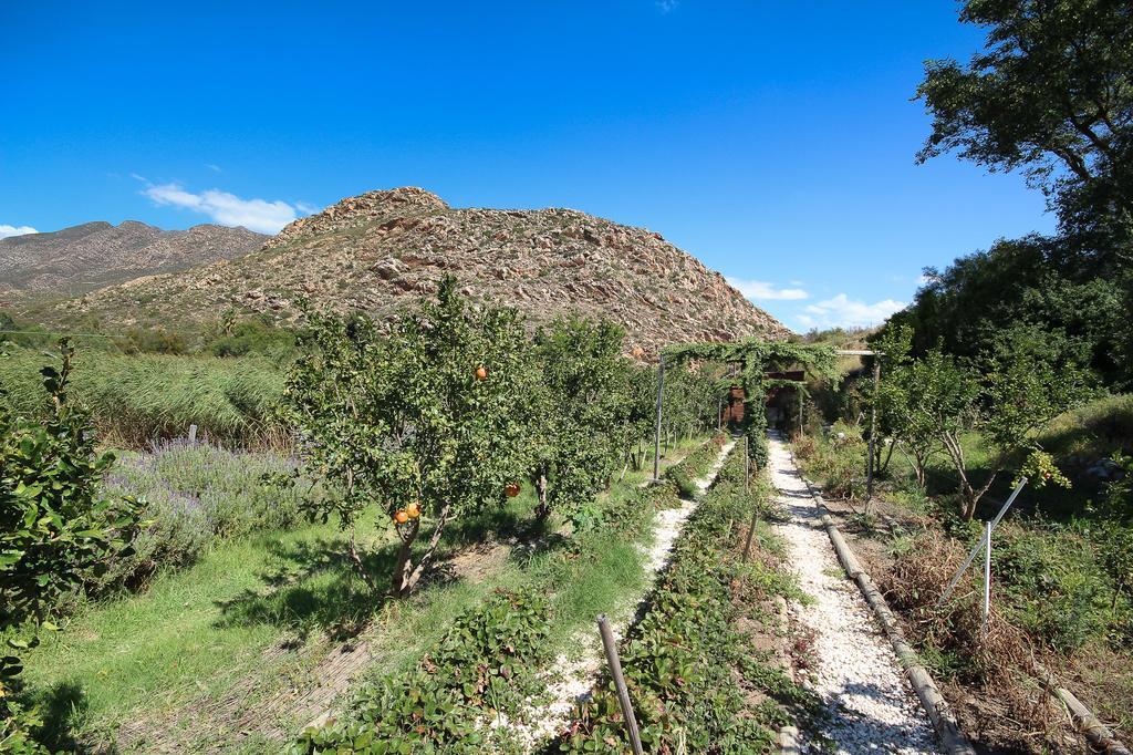 Kogman & Keisie Guest Farm Villa Montagu Exterior foto